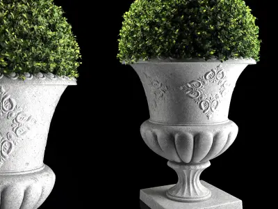 Plant Collection 04 3D model