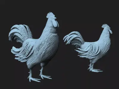 rooster 3D model buy