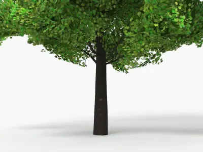 Realistic Lowpoly Tulip Tree 3D model