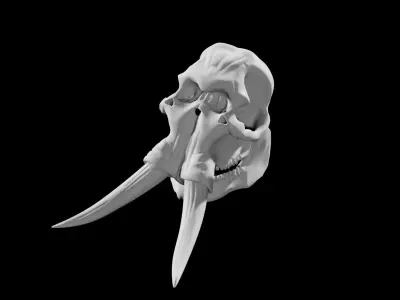 Elephant skull Low-poly 3D model