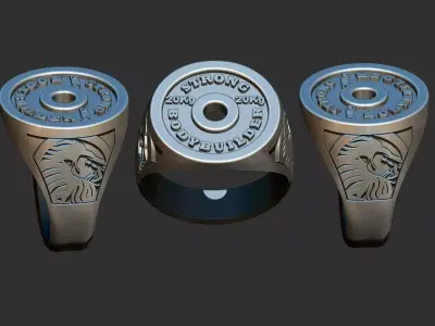 Weight Plate Ring - Anel Anilha 3D print model
