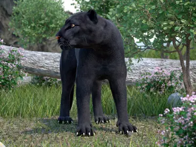 Black Panther Stand Pose 3D model