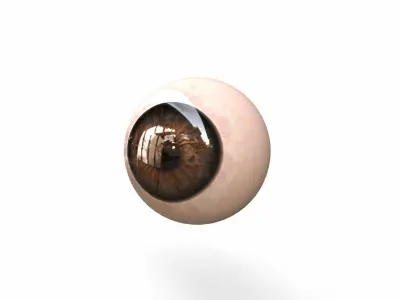 Human Eye Low-poly 3D model
