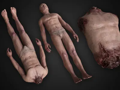 Human Remains  Rigged  Low-poly 3D model