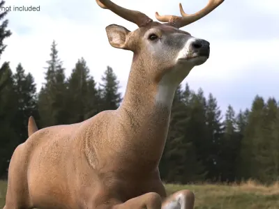 Whitetail Deer Running Pose 3D model