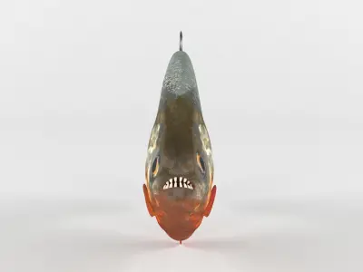 Piranha model thresher fish 3D model