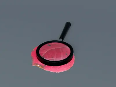 Magnifying Glass 3D model purchase