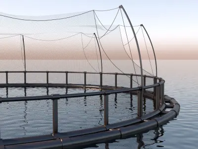 Fish farm net  3D model