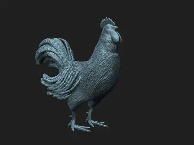 rooster 3D model buy