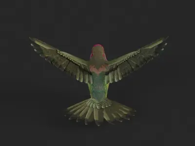 Hummingbird 3D model get