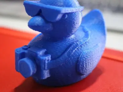 Tourist Duck Free 3D print model