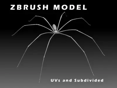 Daddy Long Legs Low-poly 3D model