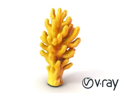 Fan-Shaped Coral Reef Structure model pack Low-poly 3D model