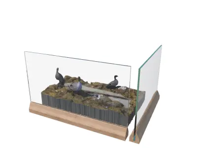 Bird display 2 3D model