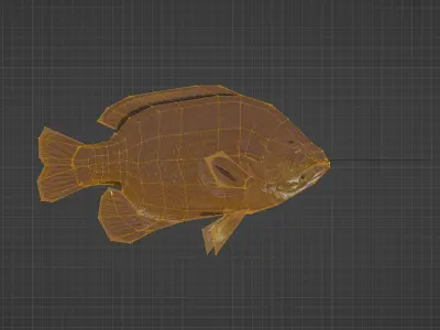 Sunfish Low Poly 3D model with Blender FREE Free 3D model