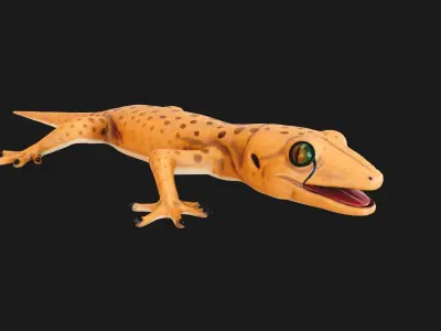 Low poly Stylized lizard Low-poly 3D model