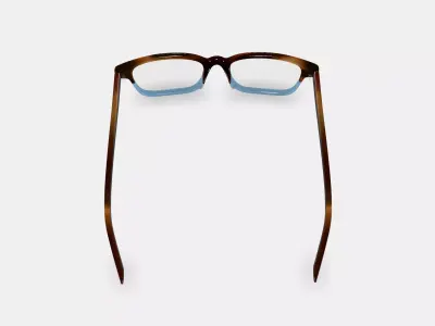 Crane Low Bridge Fit Eyeglasses in Eastern Bluebird Fade 3D model