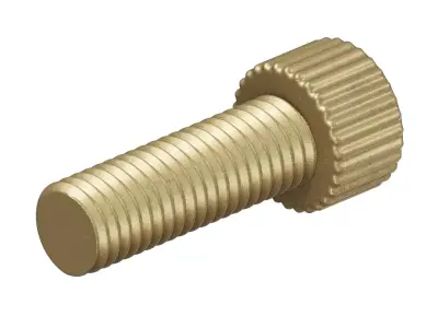 Antique Brass Socket Bolt 3D model