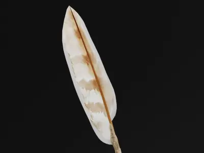 Feather Ink Pen Low-poly 3D model