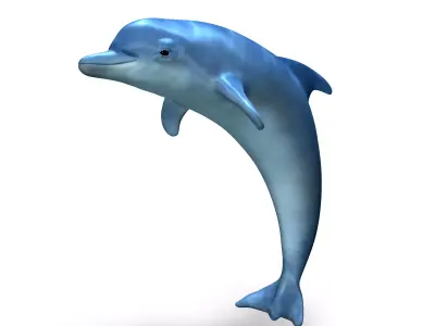 Dolphin 3D model shop