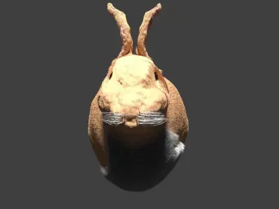Frowning Bunny Free 3D model