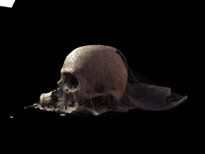 Broken Skull with Spider webs 6 3D model