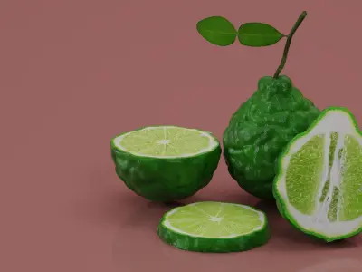 Bergamot Fruits 3D model