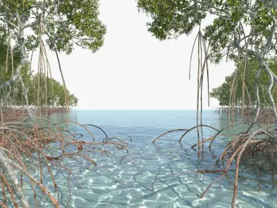 Mangroves 2.0 Animated 3D model