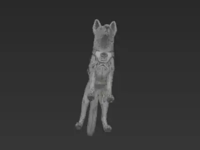Rescue Dog 3D Model 3D print model