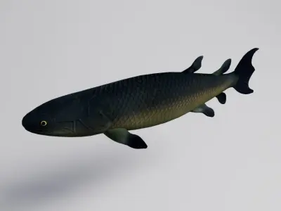 Eusthenopteron Fish Low-poly 3D model