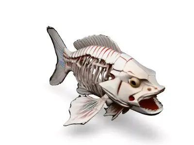 Realistic Fish Skeleton 3D Model Low-poly 3D model