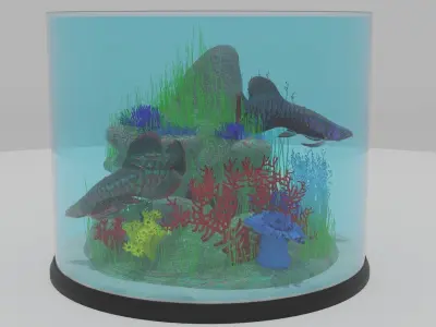 Aquarium in glass container 3D model