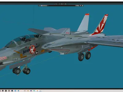 F-14 Miss Molly Free 3D model