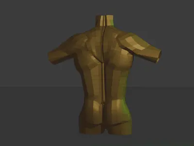 Upper male body Free 3D model