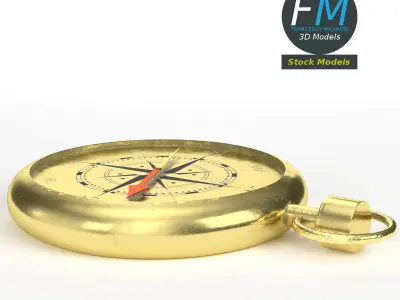 Compass navigation 3D model