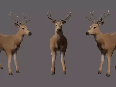 Deer 3D model with antlers Low-poly 3D model