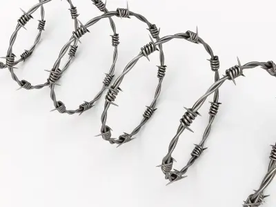 Barbwire 3D model
