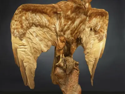 9 Birds Collection V2 Low-poly 3D model