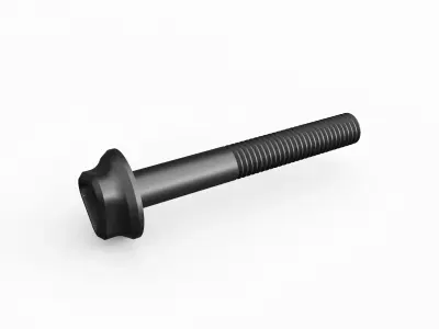 Screw 74 3D model