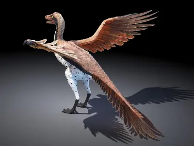 Dinopack Flying Static 3D model