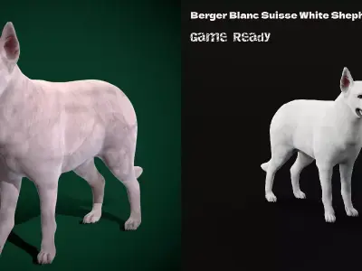 White Swiss Shepherd Dog Breed Free low-poly 3D model
