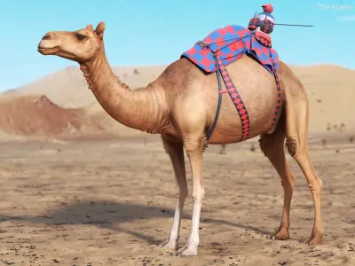  Racing Camel Gear with Patterned Straps 