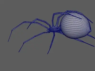 Spider Black Widow 3D model buy