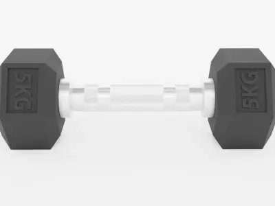 Dumbbell Set - Gym Equipment  3D model