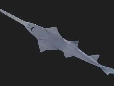 Ray fish Low-poly 3D model get