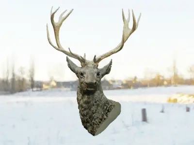 Deer Head Low-poly 3D model