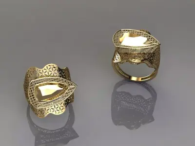 torturial ring 3D print model 3