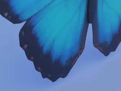 Blue Morpho Butterfly Low-poly 3D model