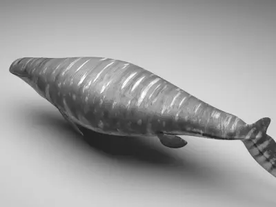 Mosasaurus 3D model purchase