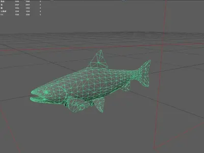 Salmon Low-poly 3D model buy